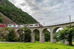 Allegra 3506 ABB.