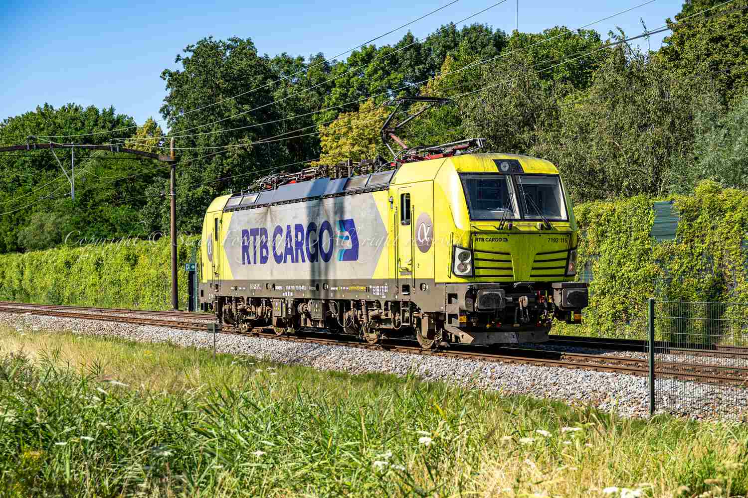 Treinspotten Dordrecht